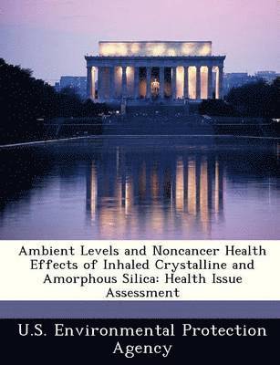 bokomslag Ambient Levels and Noncancer Health Effects of Inhaled Crystalline and Amorphous Silica: Health Issue Assessment