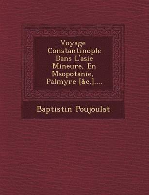 bokomslag Voyage &#65533; Constantinople Dans L'asie Mineure, En M&#65533;sopotanie, &#65533; Palmyre [&c.]....