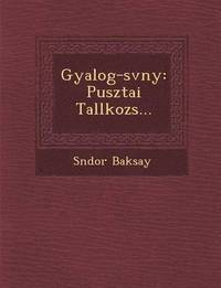 bokomslag Gyalog- Sv NY