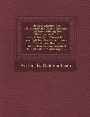 bokomslag Naturgeschichte Des Pflanzenreichs Oder Abbildung Und Beschreibung Der Wichtigsten in U. Auslandischen Pflanzen Mit Vorzuglicher Berucksichtigung Ihres Nutzens