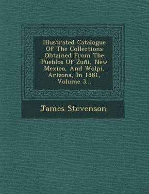 bokomslag Illustrated Catalogue of the Collections Obtained from the Pueblos of Zuni, New Mexico, and Wolpi, Arizona, in 1881, Volume 3...