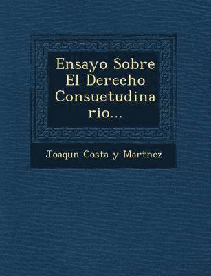 bokomslag Ensayo Sobre El Derecho Consuetudinario...