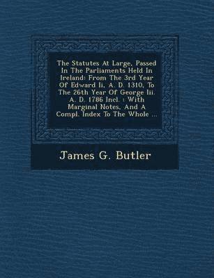 bokomslag Statutes At Large, Passed In The Parliaments Held In Ireland