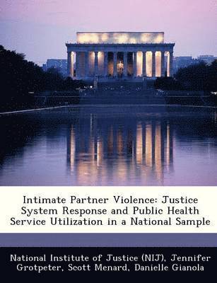 Jennifer Grotpeter, Scott Menard - Intimate Partner Violence, Häftad