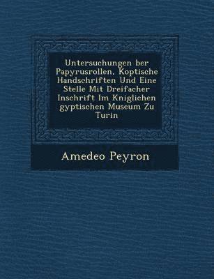 bokomslag Untersuchungen Ber Papyrusrollen, Koptische Handschriften Und Eine Stelle Mit Dreifacher Inschrift Im K Niglichen Gyptischen Museum Zu Turin