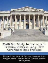 bokomslag Multi-Site Study to Characterize Pressure Ulcers in Long-Term Care Under Best Practices