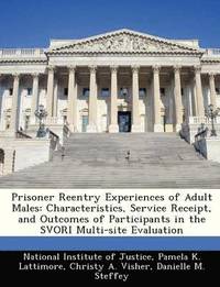 bokomslag Prisoner Reentry Experiences of Adult Males