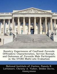 bokomslag Reentry Experiences of Confined Juvenile Offenders