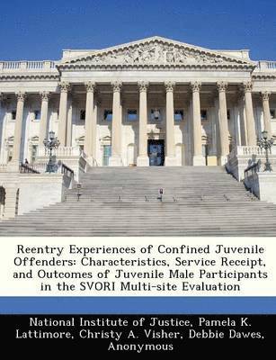 bokomslag Reentry Experiences of Confined Juvenile Offenders