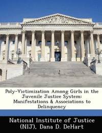 bokomslag Poly-Victimization Among Girls in the Juvenile Justice System