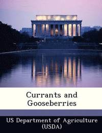 bokomslag Currants and Gooseberries