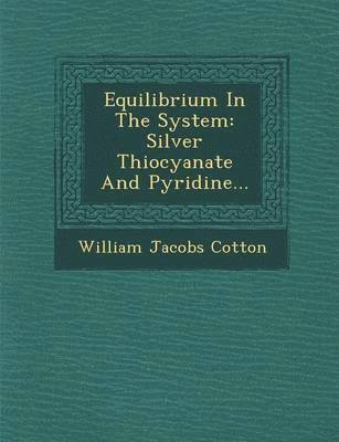 bokomslag Equilibrium in the System