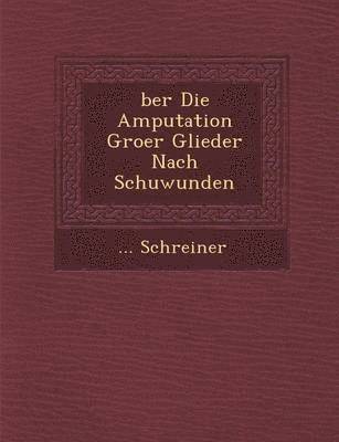 bokomslag Ber Die Amputation Gro Er Glieder Nach Schu Wunden