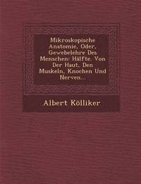 bokomslag Mikroskopische Anatomie, Oder, Gewebelehre Des Menschen