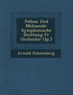 bokomslag Pelleas Und Melisande