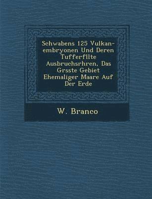 bokomslag Schwabens 125 Vulkan-Embryonen Und Deren Tufferf Llte Ausbruchsr Hren, Das Gr Sste Gebiet Ehemaliger Maare Auf Der Erde