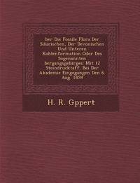 bokomslag Ber Die Fossile Flora Der Silurischen, Der Devonischen Und Unteren Kohlenformation Oder Des Sogenannten Bergangsgebirges