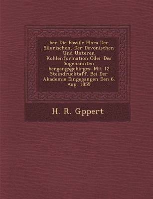bokomslag Ber Die Fossile Flora Der Silurischen, Der Devonischen Und Unteren Kohlenformation Oder Des Sogenannten Bergangsgebirges