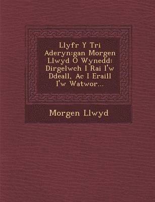 bokomslag Llyfr y Tri Aderyn