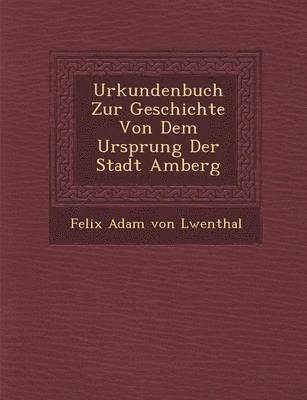 bokomslag Urkundenbuch Zur Geschichte Von Dem Ursprung Der Stadt Amberg