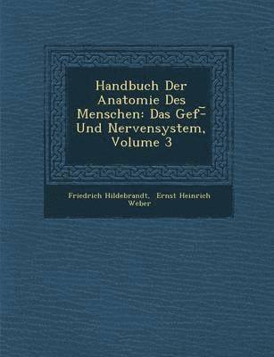 bokomslag Handbuch Der Anatomie Des Menschen
