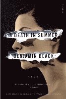 bokomslag A Death in Summer