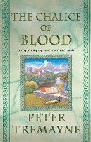 The -Chalice of Blood: A Mystery of Ancient Ireland 1