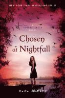 bokomslag Shadow Falls 05. Chosen at Nightfall