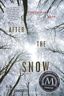 S. D. Crockett - After the Snow, Häftad