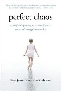 bokomslag Perfect Chaos