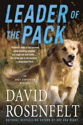 David Rosenfelt - Leader of the Pack, Häftad