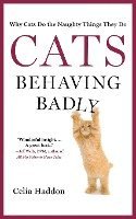 Cats Behaving Badly 1