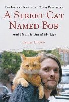 Street Cat Named Bob 1