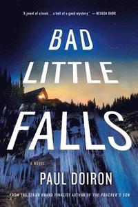 bokomslag Bad Little Falls
