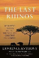 bokomslag Last Rhinos