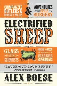 bokomslag Electrified Sheep
