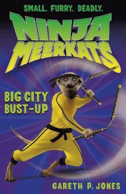 Ninja Meerkats (#6): Big City Bust-Up 1
