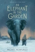 bokomslag An Elephant in the Garden