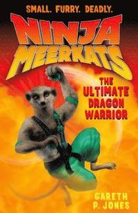 bokomslag Ninja Meerkats (#7) the Ultimate Dragon Warrior