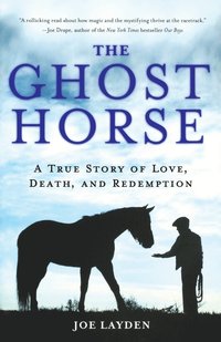 bokomslag The Ghost Horse
