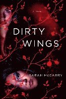 bokomslag Dirty Wings