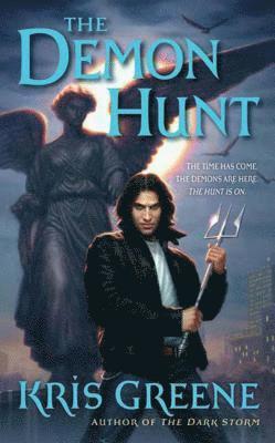 bokomslag The Demon Hunt: A Dark Storm Novel