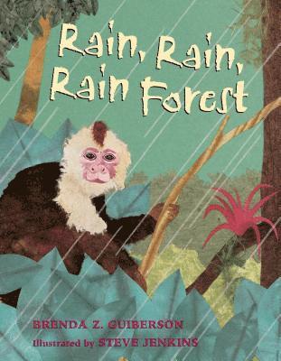Brenda Z. Guiberson - Rain, Rain, Rain Forest, Häftad