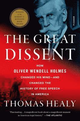 Thomas Healy - Great Dissent, Häftad