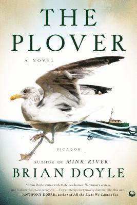 Brian Doyle - The Plover, Häftad