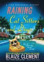 Blaize Clement - Raining Cat Sitters and Dogs, Häftad