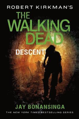 bokomslag Robert Kirkman's the Walking Dead: Descent
