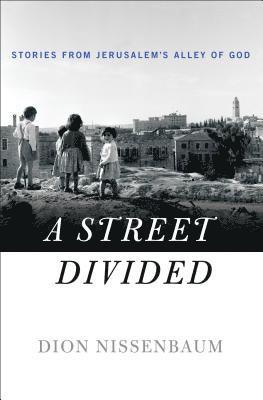 Dion Nissenbaum, DION NISSENBAUM - Street Divided, Inbunden