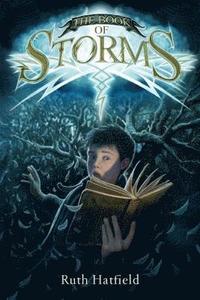bokomslag Book of Storms