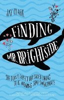 bokomslag Finding Mr. Brightside